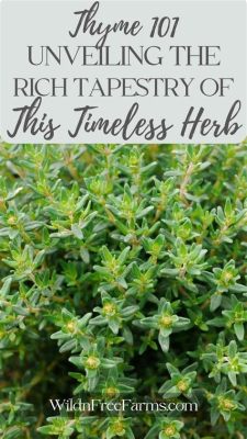  Herbs: A Fragrant Journey into Ancient Persian Knowledge 