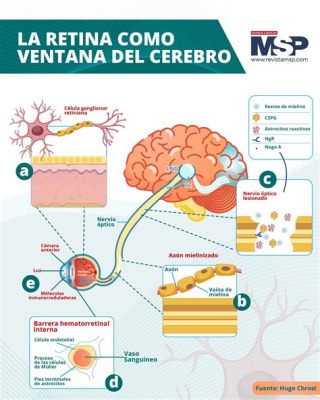  Ventana al Cerebro: Una Guía para Entender la Mente Humana - Un Viaje Fascinante hacia las Profundidades del Pensamiento